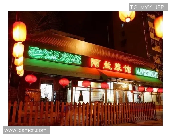 霍伊伦的传奇人生与影响力探秘：从艺术到社会的多重角色分析